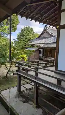大覚寺(京都府)