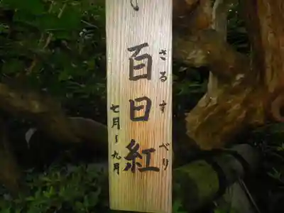 長谷寺のその他建物