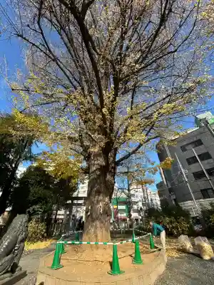 鳩森八幡神社(東京都)
