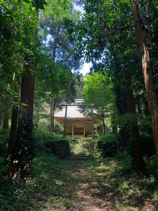 安房大杉神社(千葉県)