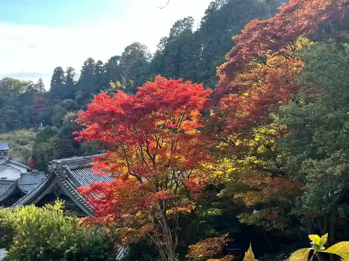 柳谷観音 楊谷寺(京都府)
