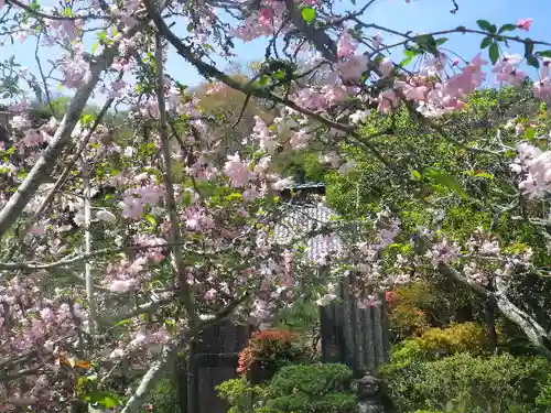 光則寺の景色