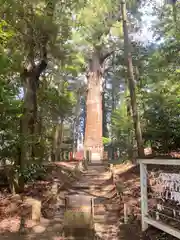 麻賀多神社(千葉県)