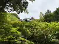 東福禅寺(東福寺)(京都府)