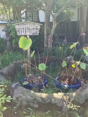 極楽寺（霊鷲山感應院極楽律寺）の庭園