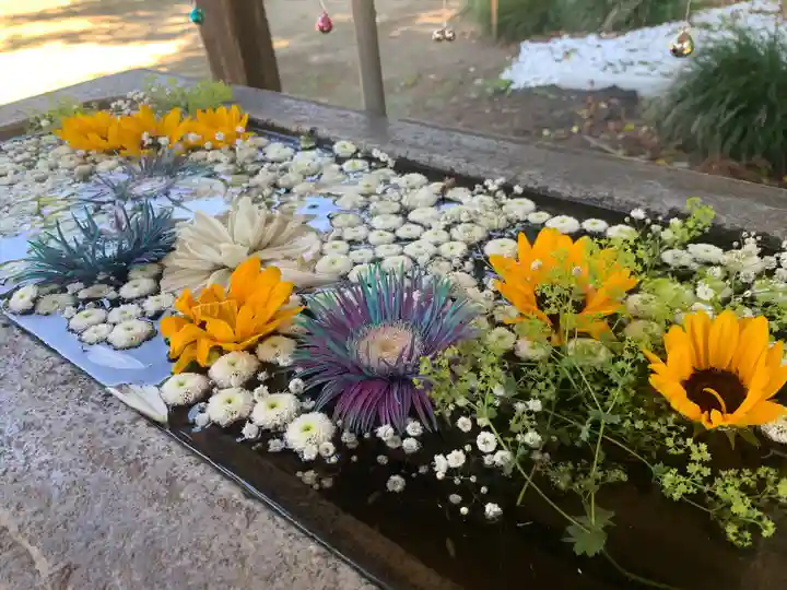 二宮赤城神社(群馬県)
