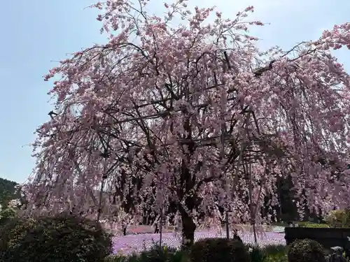 永澤寺(兵庫県)