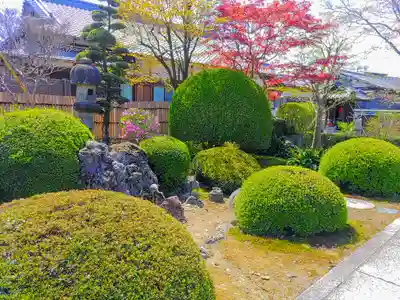 慈光院（曼陀羅寺塔頭）の庭園
