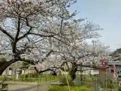 放生院常光寺(京都府)