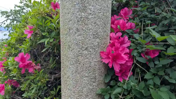 鹿島荒神社の自然