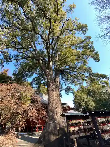 冠稲荷神社(群馬県)