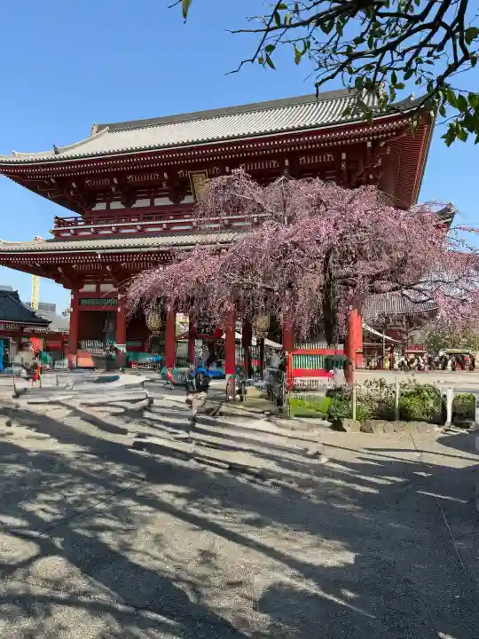 浅草寺の{uncategorized: "未分類", other: "その他", undefined: "問題あり", building: "その他建物", grave: "お墓", sacred_gate: "鳥居", guardian: "狛犬", statue: "像", buddha: "仏像", history: "歴史", nature: "自然", garden: "庭園", animal: "動物", pagoda: "塔", temizu: "手水舎", mountain_gate: "山門・神門", sanctuary: "本殿・本堂", subordinate: "末社・摂社", art: "芸術", scenery: "景色", jizo: "地蔵", ema: "絵馬", goshuin: "御朱印", omikuji: "おみくじ", items: "授与品その他", amulet: "お守り", goshuincho: "御朱印帳", eats: "食事", festival: "お祭り", votive_dance: "神楽", shichigosan: "七五三参", wedding: "結婚式", experience: "体験その他", initially: "初詣", around: "周辺", anti_infection: "感染症対策"}