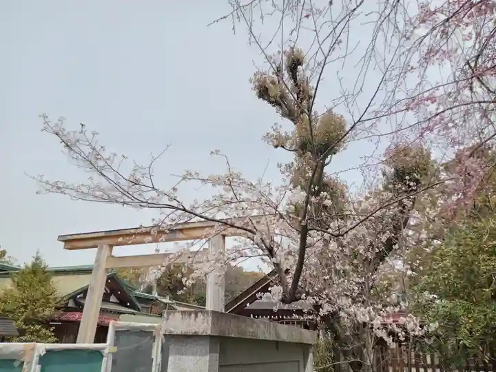 和泉國一之宮 大鳥大社(大阪府)