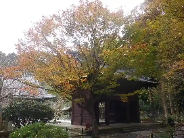 妙本寺のその他建物