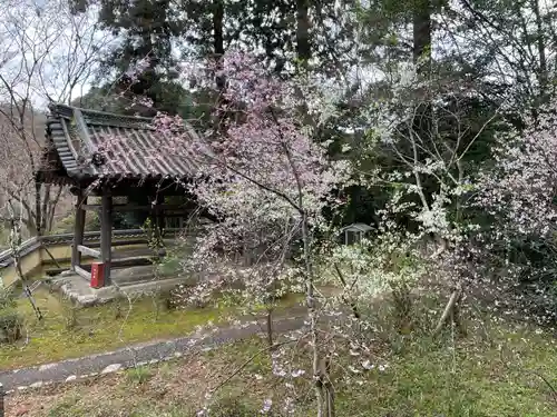 十輪寺(京都府)