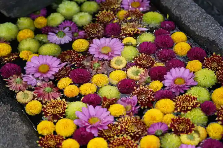 大鏑神社の手水舎