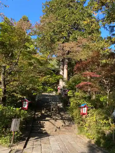 大善寺の庭園