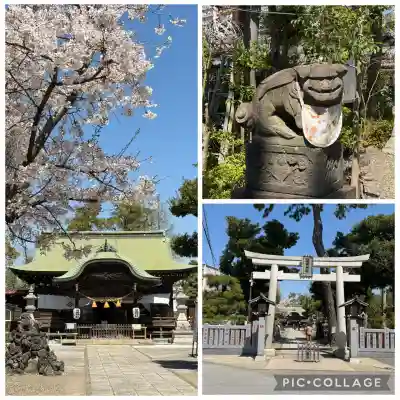 菊田神社の{uncategorized: "未分類", other: "その他", undefined: "問題あり", building: "その他建物", grave: "お墓", sacred_gate: "鳥居", guardian: "狛犬", statue: "像", buddha: "仏像", history: "歴史", nature: "自然", garden: "庭園", animal: "動物", pagoda: "塔", temizu: "手水舎", mountain_gate: "山門・神門", sanctuary: "本殿・本堂", subordinate: "末社・摂社", art: "芸術", scenery: "景色", jizo: "地蔵", ema: "絵馬", goshuin: "御朱印", omikuji: "おみくじ", items: "授与品その他", amulet: "お守り", goshuincho: "御朱印帳", eats: "食事", festival: "お祭り", votive_dance: "神楽", shichigosan: "七五三参", wedding: "結婚式", experience: "体験その他", initially: "初詣", around: "周辺", anti_infection: "感染症対策"}
