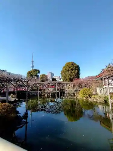 亀戸天神社(東京都)