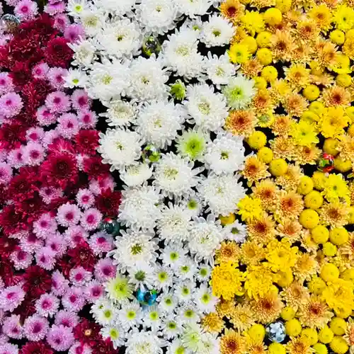 土津神社｜こどもと出世の神さまの手水