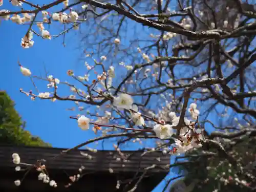 荏柄天神社(神奈川県)