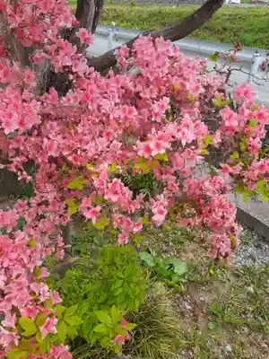 長谷寺(岩手県)