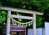 川越氷川神社(埼玉県)