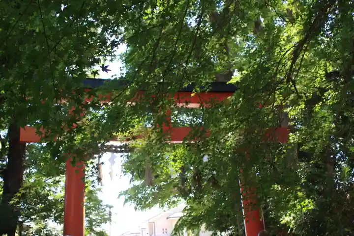 大田神社(賀茂別雷神社境外摂社)(京都府)
