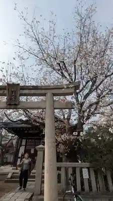 本満寺(本願満足寺)(京都府)