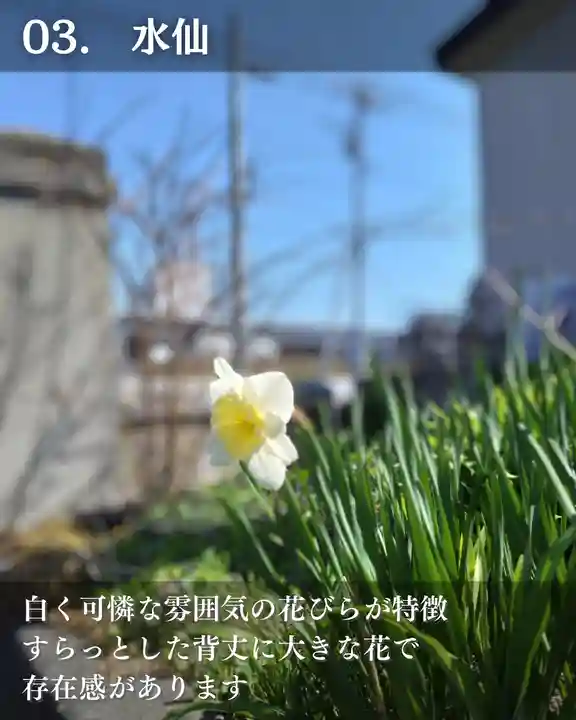 宝光寺(北海道)