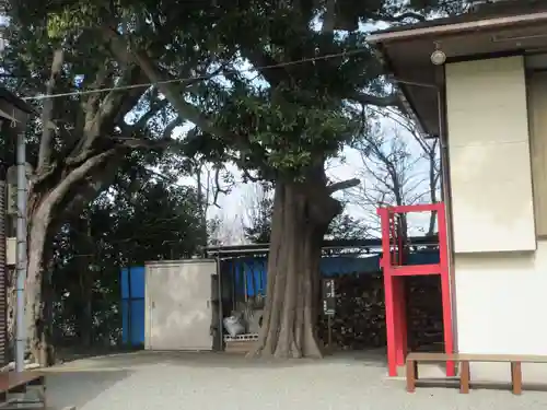 天照大神(神奈川県)