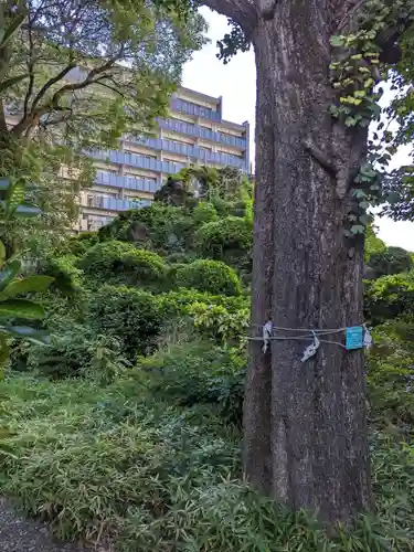 成子天神社(東京都)