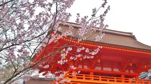賀茂別雷神社（上賀茂神社）の本殿・本堂