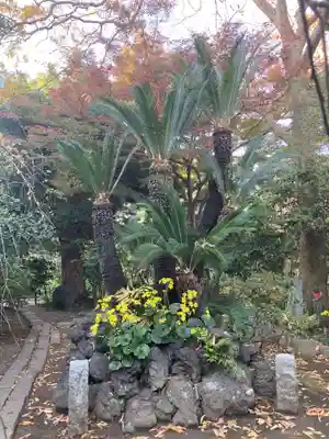 宝戒寺(神奈川県)