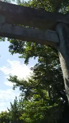 愛宕神社の自然