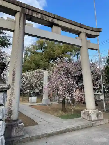 川口神社(埼玉県)