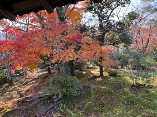 天龍寺(京都府)