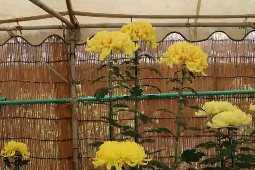 高麗神社のその他建物