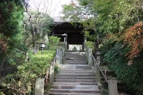 杉本寺(神奈川県)