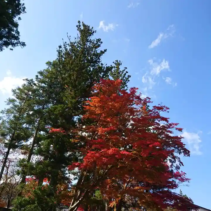壇上伽藍の自然