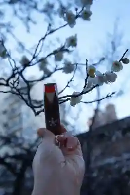 湯島天満宮(東京都)