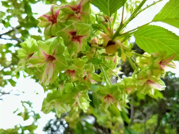 松應寺(愛知県)