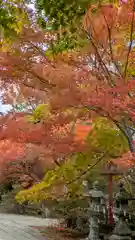 鍬山神社(京都府)