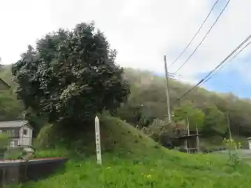 金崎神社(埼玉県)