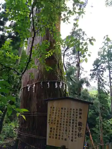白鳥神社の自然