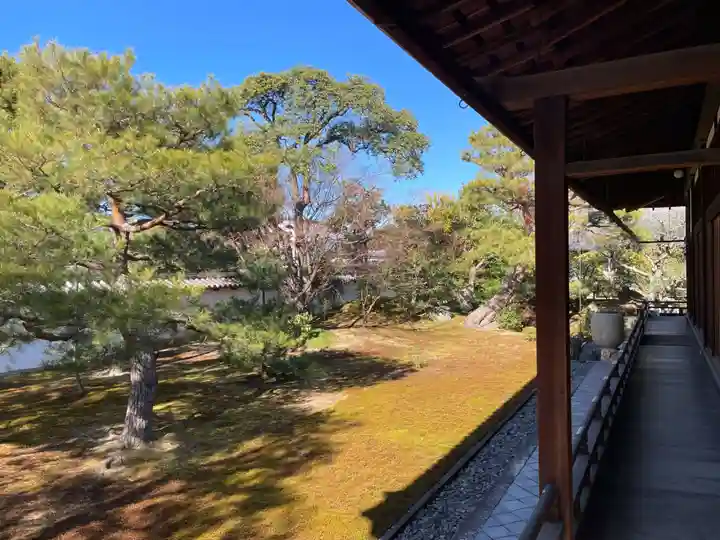 相国寺(相国承天禅寺)(京都府)