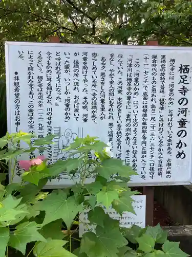 かっぱの寺 栖足寺の歴史