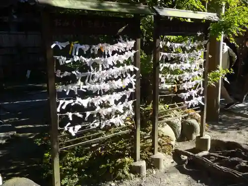 銭洗弁財天宇賀福神社のおみくじ