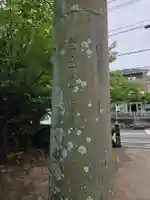 鳥栖八坂神社(佐賀県)