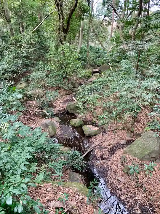 明治神宮(東京都)